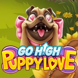 Go High Puppy Love slot icon by RubyPlay, available at WinRolla Casino